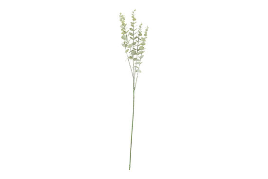 HA4LY542GN816 OKALIPTUS DALI 77cm - 1