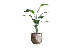 HA4LY71150B RAVENALA YEŞİL 180 CM (759TUF000034) - YAPAY ÇİÇEK