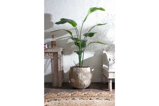 HA4LY71150B RAVENALA YEŞİL 180 CM (759TUF000034) - 2