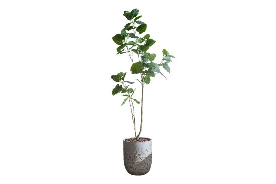 HA4SB23B12GNA FİKU YEŞİL 240 CM (759TUF000110) - 1