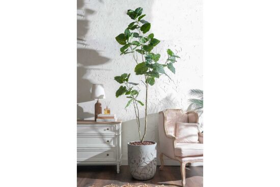 HA4SB23B12GNA FİKU YEŞİL 240 CM (759TUF000110) - 2
