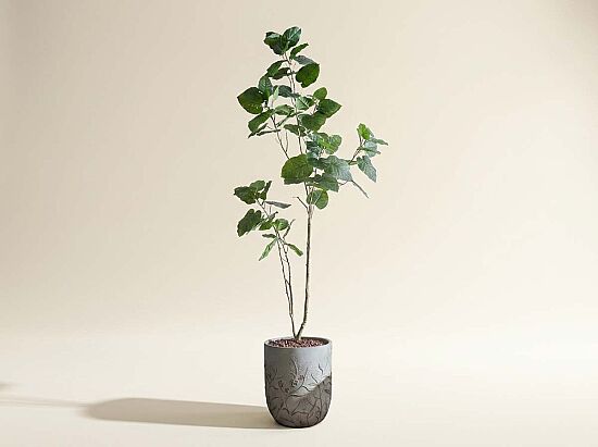 HA4SB23B12GNA FİKU YEŞİL 240 CM (759TUF000110) - 1