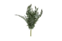 HA4XYD003GNM13 YAPAY EĞİTMEN ÇALI YEŞİL 41 CM - YAPAY ÇİÇEK
