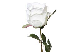 HA5LNDMGM21CM YAPAY GÜL ÇİÇEĞİ KREM 51 CM - 2