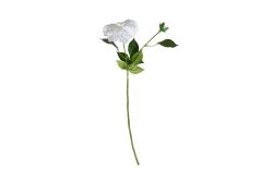 HA5SJHY231013DL12 YAPAY DAHLIA ÇİÇEĞİ BEYAZ 62 CM - YAPAY ÇİÇEK
