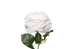 HA5SJHY231016MG07 YAPAY GÜL ÇİÇEĞİ BEYAZ 35 CM - 2