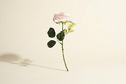 HA5SJHY231016MG10 YAPAY GÜL ÇİÇEĞİ PEMBE 35 CM - HSH-KRVN ORTAK