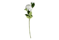 HA5SJHY231016WH4 YAPAY ŞAKAYIK SAPI BEYAZ 54 CM - YAPAY ÇİÇEK