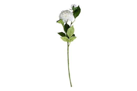 HA5SJHY231016WH4 YAPAY ŞAKAYIK SAPI BEYAZ 54 CM - 1