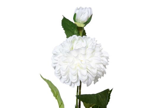 HA5SJHY231016WH4 YAPAY ŞAKAYIK SAPI BEYAZ 54 CM - 2
