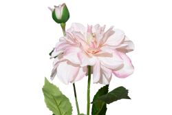 HA5SJHY2415DLPK12 YAPAY DAHLIA ÇİÇEĞİ PEMBE 62 CM - 2