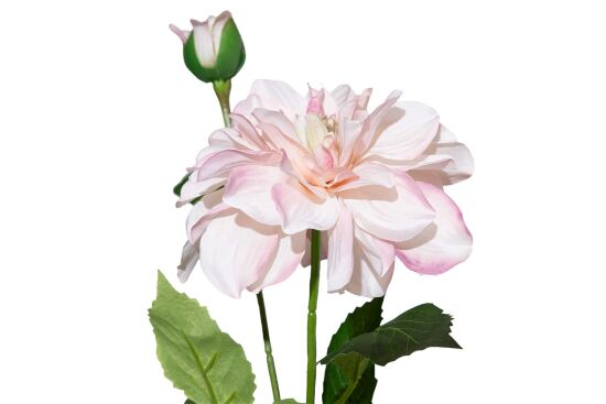 HA5SJHY2415DLPK12 YAPAY DAHLIA ÇİÇEĞİ PEMBE 62 CM - 2