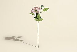 HA5SJHY2415DLPK12 YAPAY DAHLIA ÇİÇEĞİ PEMBE 62 CM - 