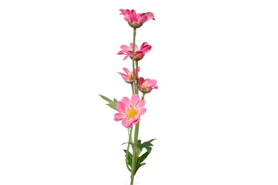 HA5XYD1146PK PAPATYA DALI 5 ÇİÇEKLİ PEMBE 48 CM - 2