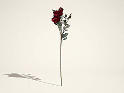 HD9425 GÜL BUKETİ KIRMIZI 66cm - SWEET FLOWERS
