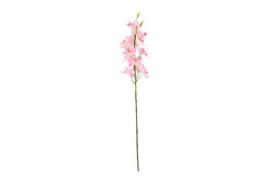 SWEET FLOWERS - HD9461 BİTKİ PEMBE 66cm