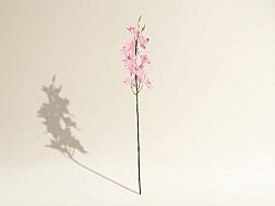 HD9461 BİTKİ PEMBE 77cm - SWEET FLOWERS