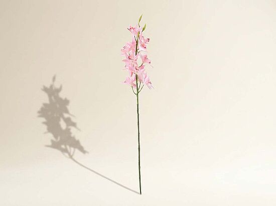 HD9461 BİTKİ PEMBE 77cm - 1