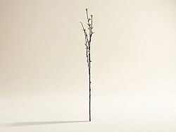 HD9487 BİTKİ YEŞİL 107 cm - SWEET FLOWERS