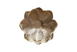 HYK1001 ÇİLEK EV AYDINLATMA 23x35 cm KREM-GOLD - 2