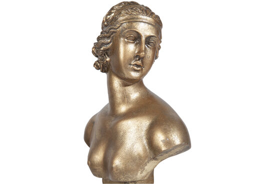 HYK284 KAIDELI YARI CIPLAK KADIN BUST GOLD-KAHVE 17x44cm