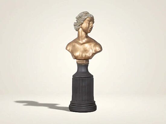 KAIDELI YARI CIPLAK KADIN BUST GOLD-KAHVE 17x44cm HYK284 - 1