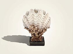 MIDYE KABUKLU MERCAN KREM-GOLD 24x31cm HYK591 - KERVAN
