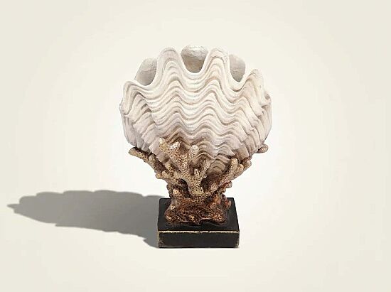 MIDYE KABUKLU MERCAN KREM-GOLD 24x31cm HYK591 - 1