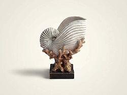 DENIZ KABUKLU MERCAN KREM-GOLD 22x28cm HYK590 - KERVAN