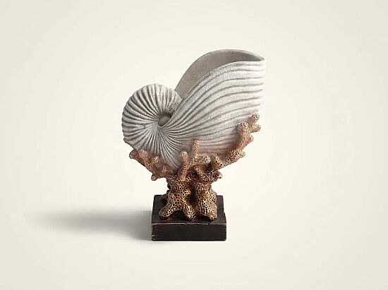 DENIZ KABUKLU MERCAN KREM-GOLD 22x28cm HYK590 - 1