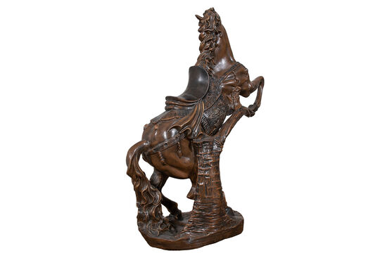 HYK895 BUYUK SAHLANAN AT 52x59cm - 3