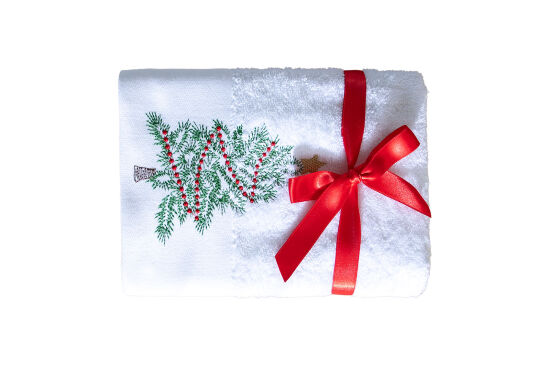 İKİLİ 45X70 cm YILDIZ CAM AĞACI HAVLU BEYAZ-YEŞİL - 2