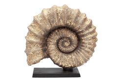 KAIDELI DENIZ KABUGU GOLD 30x32 cm - Thumbnail