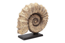 KERVAN - KAIDELI DENIZ KABUGU GOLD 30x32 cm