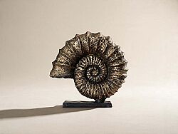 KAIDELI DENIZ KABUGU GOLD 30x32 cm HYK313 - KERVAN