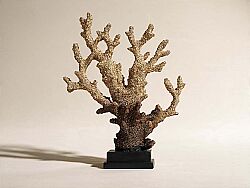 KAIDELI MERCAN GOLD 28x34 cm HYK226 - KERVAN