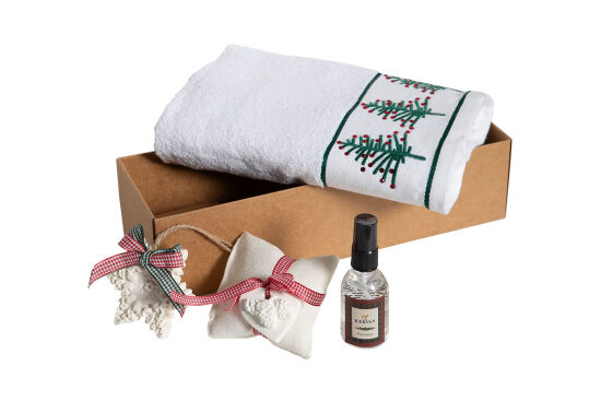 KOKU KESESİ/ÇAM AĞACI NAKIŞLI HAVLU 45x70 cm KUTULU SET BEYAZ - 3