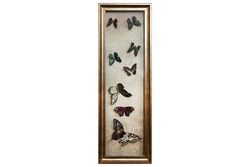 KERVAN - KRVN- 65700044 - ÇERÇEVELİ 3D KELEBEKLER DUVAR PANOSU 35X105