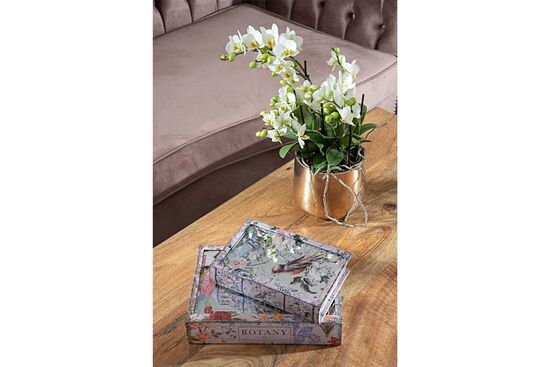 KSH-KTH-J107 KITAP KUTU 30x21x7cm
