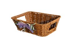LAVENDER DİKD. SEPET (XS) 18X27 CM (SPT-275) - Thumbnail