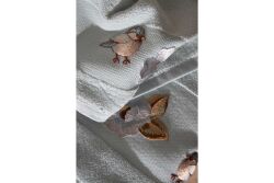 LİASSO 50X90 HAVLU MİNT - 5