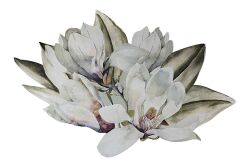 MAGNOLİA SUPLA 35X54 CM - AMERİKAN SERVİSİ-SUPLA