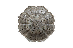 MERMER DEKORATİF KASE-BEJ - 30X30X5 CM BWN-1128A - 3