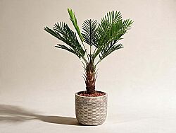 MİNİ PALMİYE YAPAY AĞAÇ 90cm (759TUF000008) - KERVAN