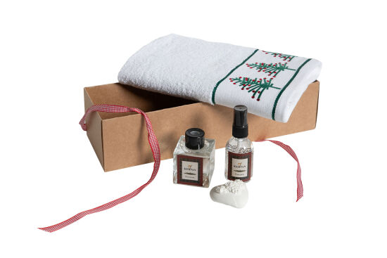 ODA KOKUSU/ÇAM AĞACI NAKIŞLI HAVLU 45x70 cm KUTULU SET BEYAZ - 3