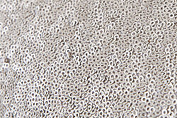RENESSA KIRLENT 30x50 BEJ - 4