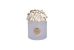 ROSALİNDA GÜL TAŞLI KOKU ŞİŞESİ 9x12,5 cm 200 CC KREM-GOLD - HSH-KRVN ORTAK