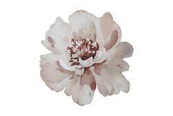 ROSENNA SUPLA 34X34 CM - AMERİKAN SERVİSİ-SUPLA