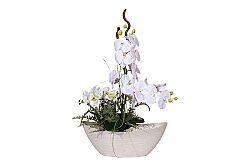 SANSELO ARANJMAN 55X75 CM KREM - KERVAN