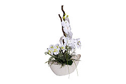 SANSELO ARANJMAN 55X75 CM KREM - 2